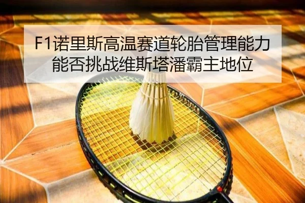 nuo-li-si-gao-wen-sai-dao-lun-tai-guan-li-neng-li-neng-fou-tiao-zhan-wei-si-ta-pan-ba-zhu-di-wei-3-535.jpg