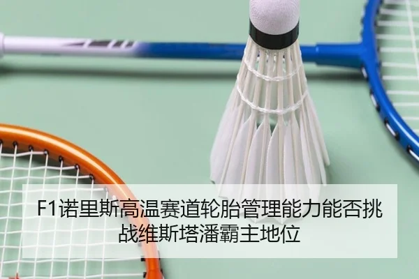 F1诺里斯高温赛道轮胎管理能力能否挑战维斯塔潘霸主地位